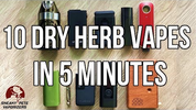 10 Vapes In 5 Minutes | www.sneakypetestore.com | Vaporizer Review Videos