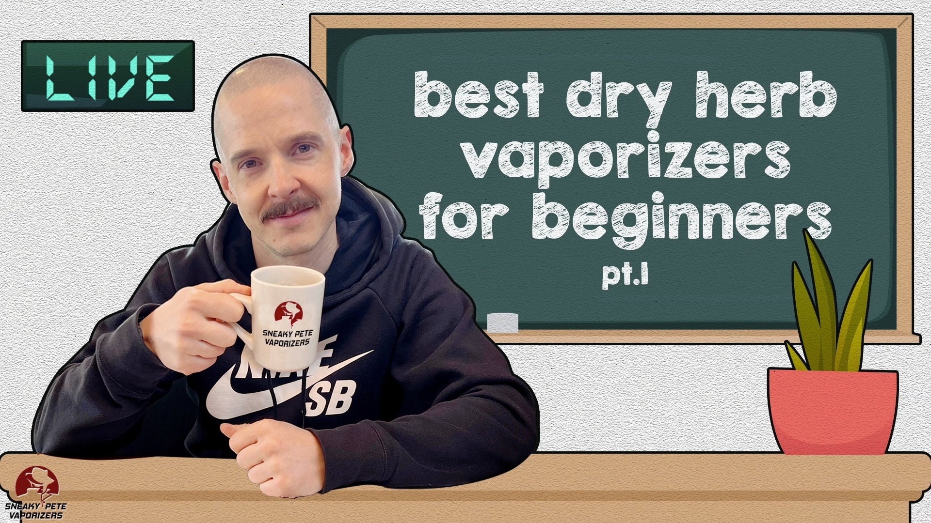 Best Dry Herb Vaporizers for Beginners Pt.1