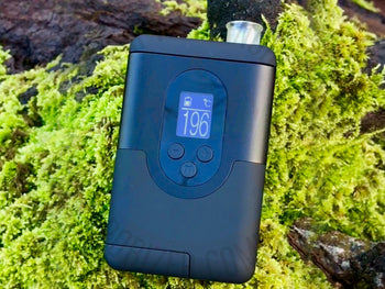 Arizer Go (ArGo) dry herb vaporizer on moss background.
