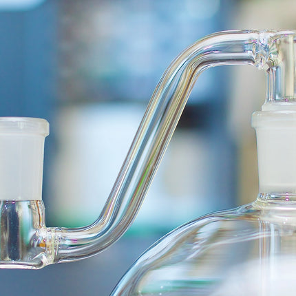The Sidestep Adapter for Mega Globe,Glass - www.sneakypetestore.com