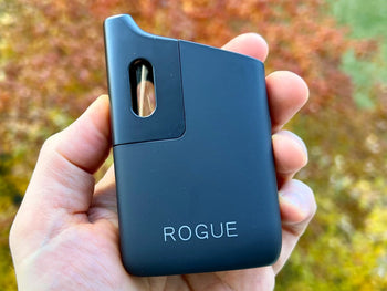 Healthy Rips Rogue SE