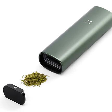 Sage pax plus with small oven and cannabis flower