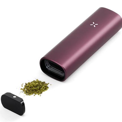 elderberry pax plus with open oven and cannabis
